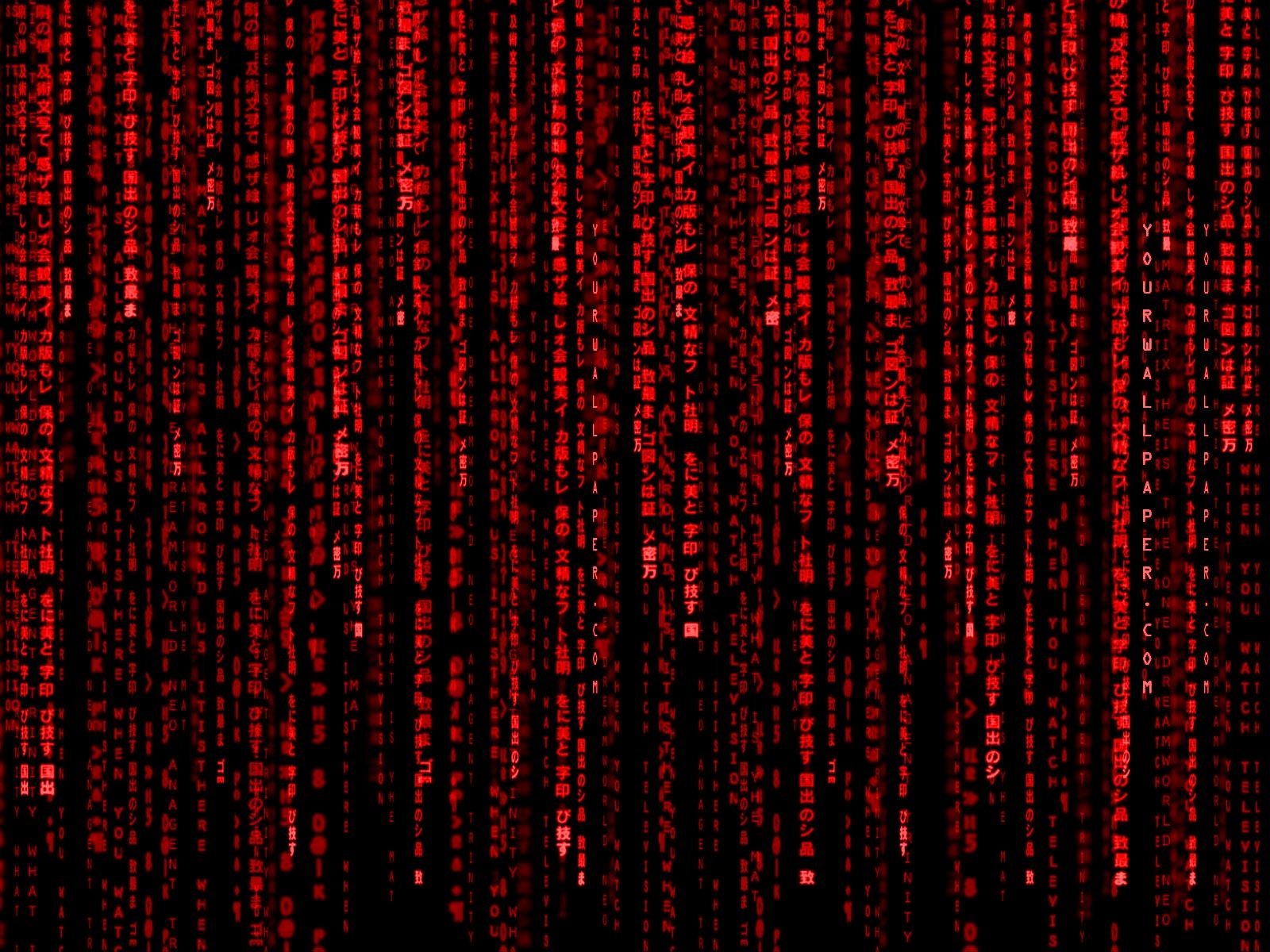 Black internet